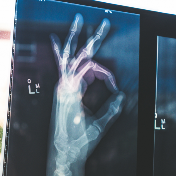 Is body composition any relevant when creating a fitness routine?